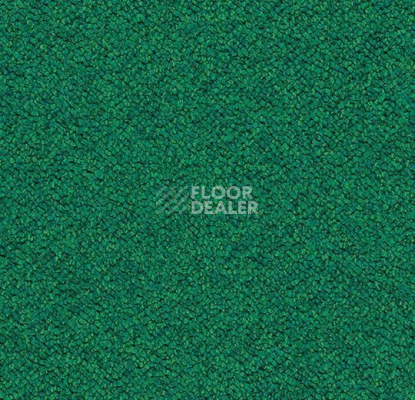 Ковровая плитка Forbo Tessera Chroma 3620 Evergreen фото 1 | FLOORDEALER
